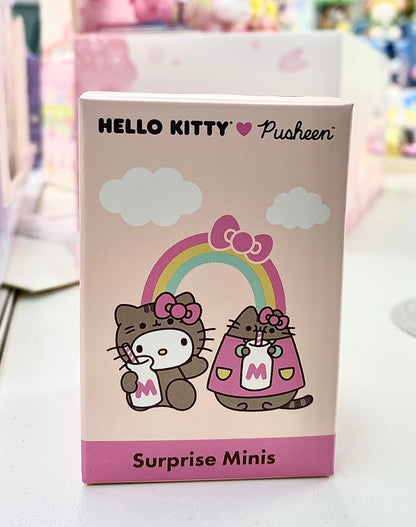 【Q19】HK Cat Surprise Minis Series Blind Box