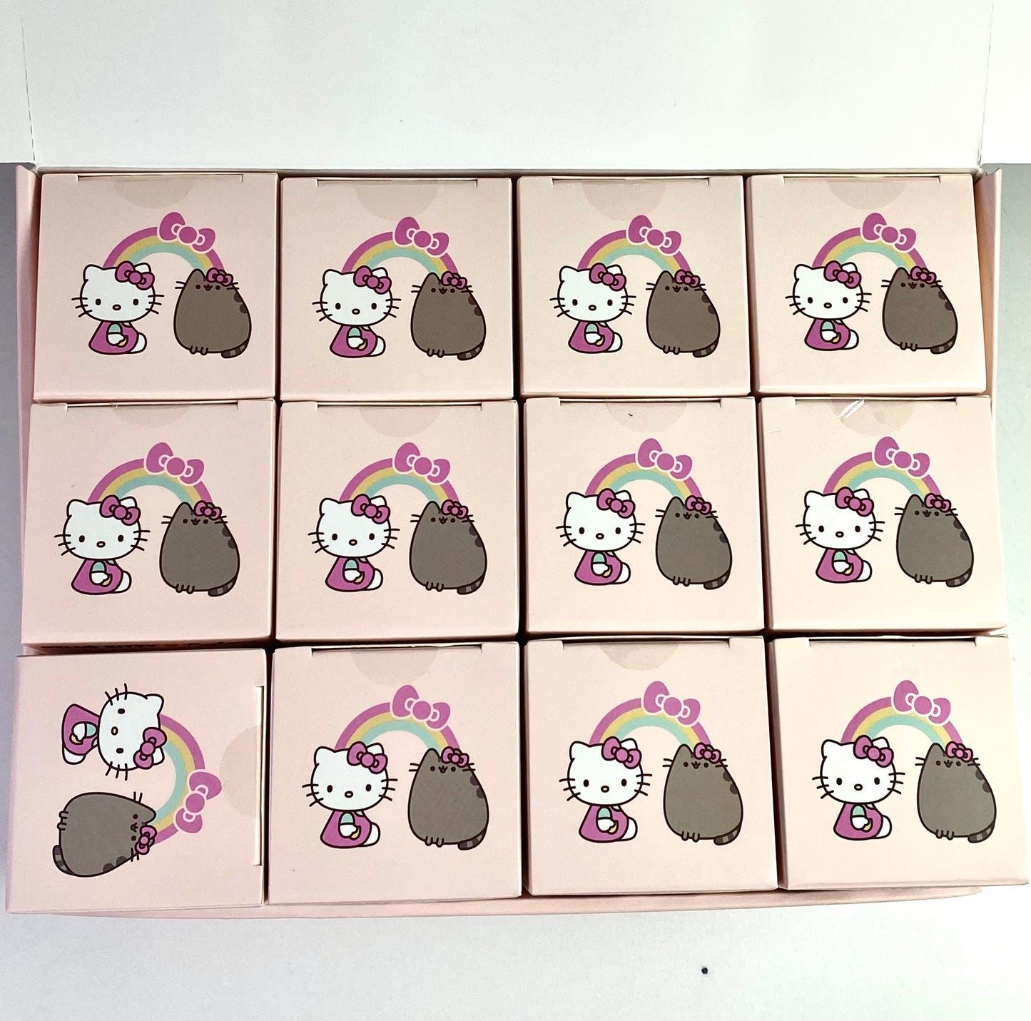 【Q19】HK Cat Surprise Minis Series Blind Box